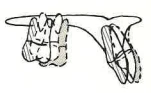 Manual Illustration
